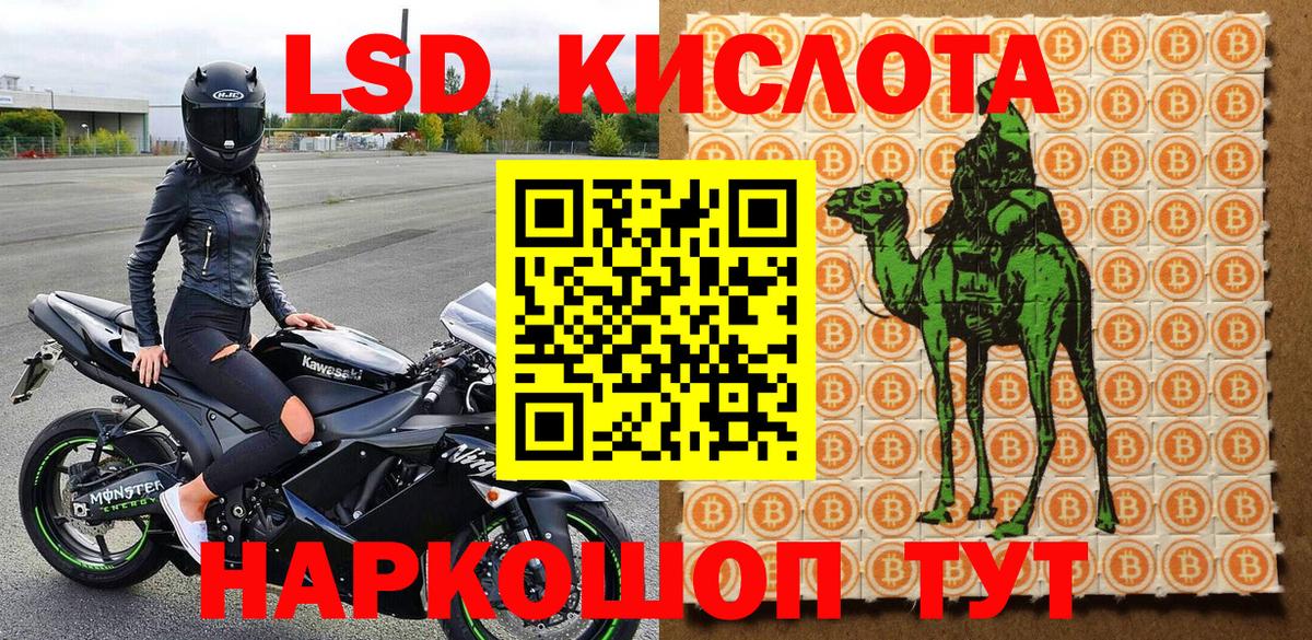 Наркотические марки 1500мкг  Вход с VPN  Наркотические марки 1500мкг  Зеленодольск 