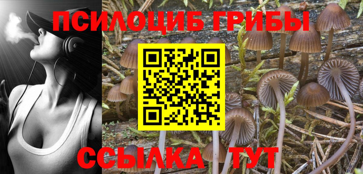 Галлюциногенные грибы Magic Shrooms  Вход с VPN  Зеленодольск 